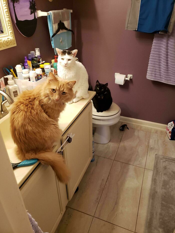 A Bathroom Meeting