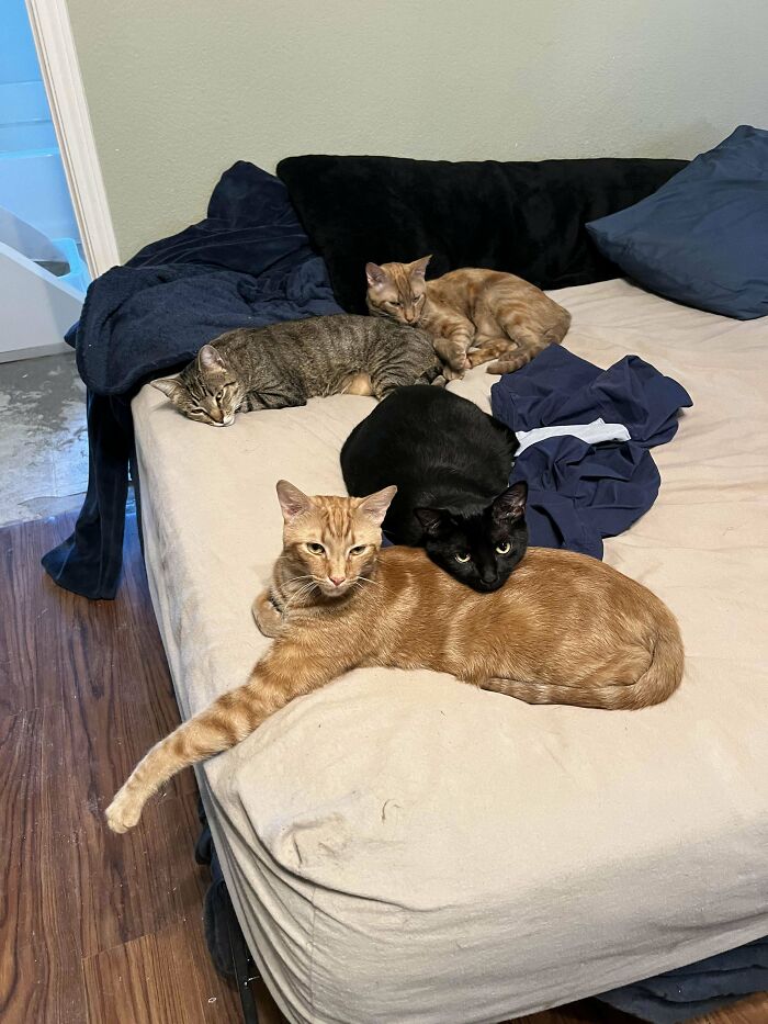 I Was Not Invited To The Meeting…