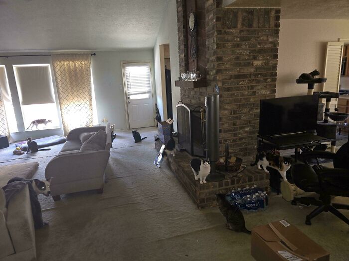 Barely Woke Up, Haven't Had Coffee Yet. And Part Of My Crew Is Already Demanding Breakfast Treats