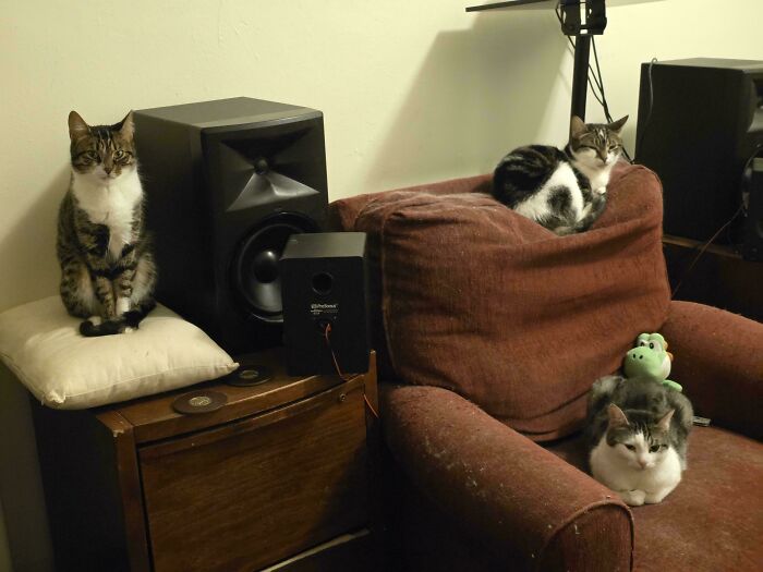 Hey, You. You're Finally Awake