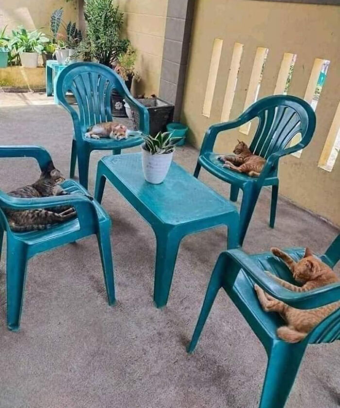 Council Annual Meeting