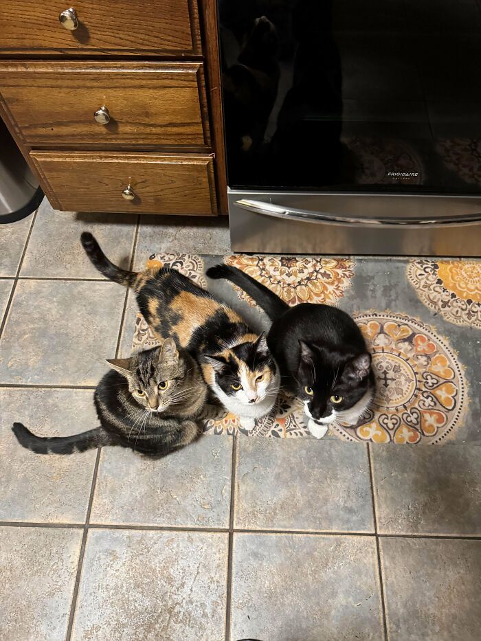 The Three Loves Of My Life