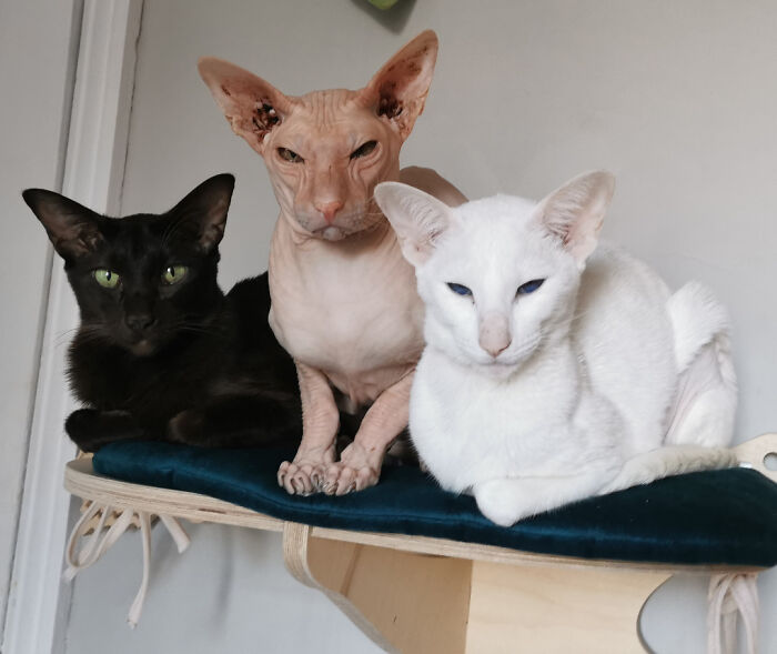 Just Observing This Time