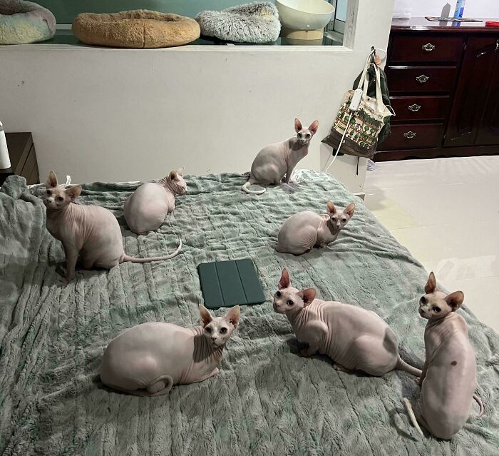 The Meeting Is Adjourned