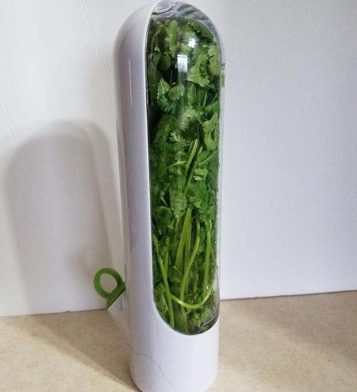 Keep Your Holiday Herbs Fresh For Longer With The Clever Prepara Mini Herb Saver, A Small But Mighty Container That Stores And Preserves Herbs Like Parsley, Rosemary, And Thyme