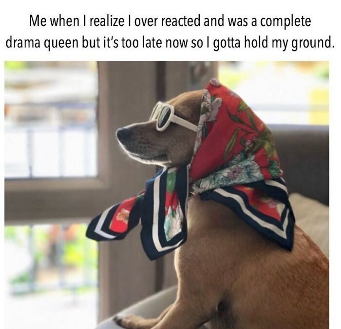 Funny-Relatable-Girl-Posts