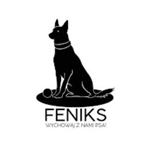 feniks avatar