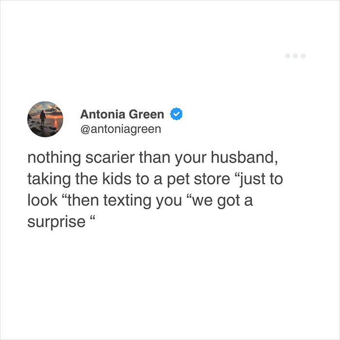 Funny-Random-Relatable-Tweets