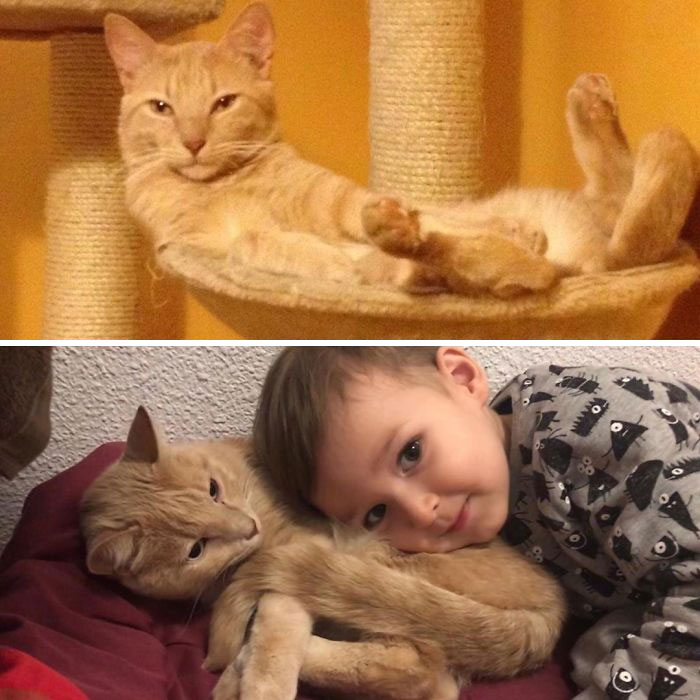 Best-Before-After-Having-Kids-Got-Toddlered