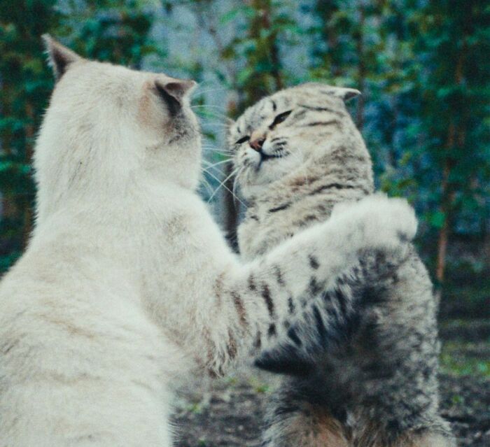 30 Times People Injured Themselves In Dumb Ways And Just Had To Warn Others