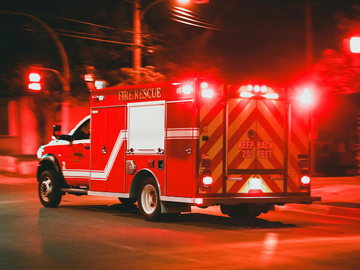 Spider Living Her 3rd Decade Ends Up In A House Fire, Gets Heroically Saved By The Firefighters