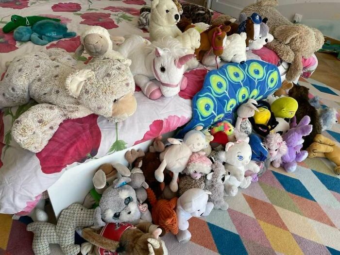 Cute-There-Is-No-Cat-Images