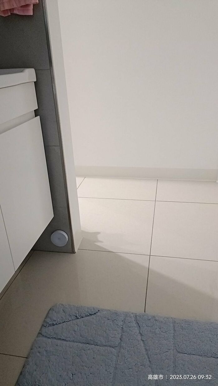 Cute-There-Is-No-Cat-Images