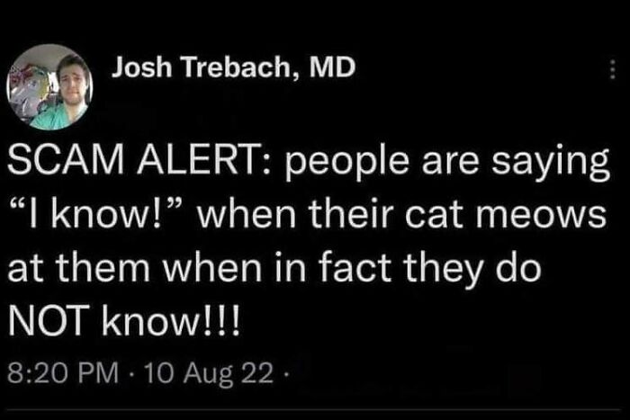 Cats-Being-Funny-Jerks-Memes-Pics