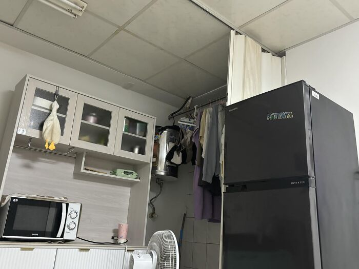 Cute-There-Is-No-Cat-Images