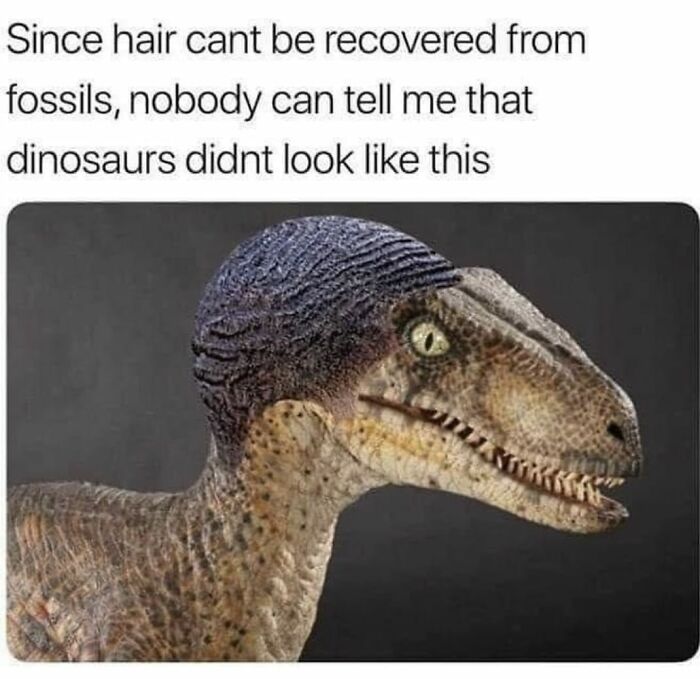 Hilarious-Random-Memes-Jokes