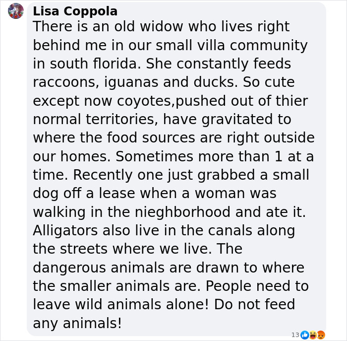 Wild Raccoons Who Were Being Fed By Woman For 35 Years Turn Aggressive, Get 911 Called On Them