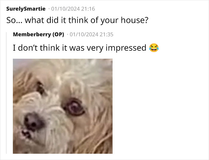 Estate Agent Allows Buyer’s Dog Into Family Home, Security Footage Exposes The Truth Estate Agent Allows Buyer’s Dog Into Family Home, Security Footage Exposes The Truth