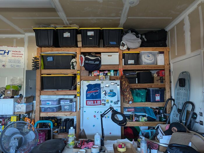 Cute-There-Is-No-Cat-Images