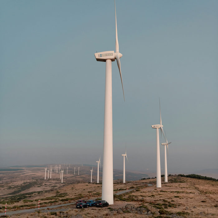 30 Dumb Things That Some People Unironically Believe