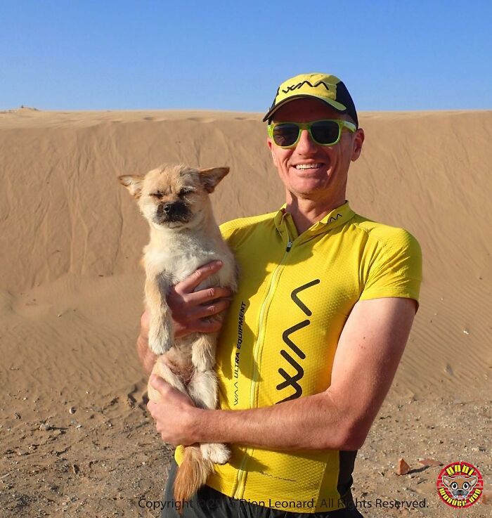 Stray Dog Runs 80 Miles With Athlete In Chinese Desert, Finds A New Home Stray Dog Runs 80 Miles With Athlete In Chinese Desert, Finds A New Home