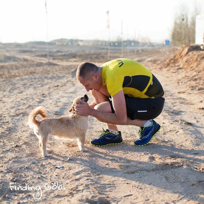 Stray Dog Runs 80 Miles With Athlete In Chinese Desert, Finds A New Home Stray Dog Runs 80 Miles With Athlete In Chinese Desert, Finds A New Home