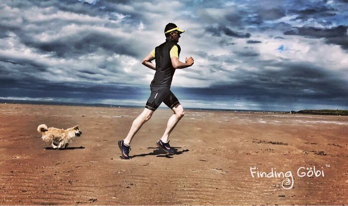 Stray Dog Runs 80 Miles With Athlete In Chinese Desert, Finds A New Home Stray Dog Runs 80 Miles With Athlete In Chinese Desert, Finds A New Home