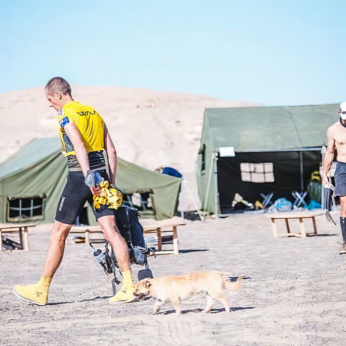 Stray Dog Runs 80 Miles With Athlete In Chinese Desert, Finds A New Home Stray Dog Runs 80 Miles With Athlete In Chinese Desert, Finds A New Home