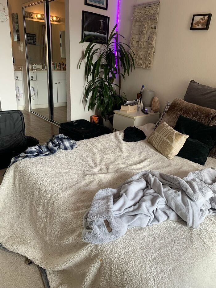 Cute-There-Is-No-Cat-Images