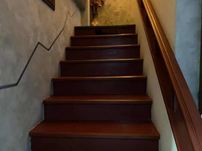 Cute-There-Is-No-Cat-Images