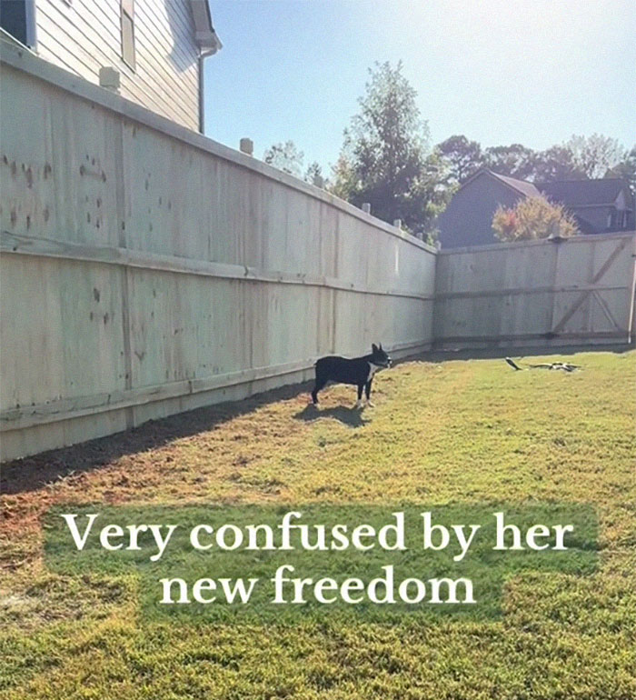 “I Was Trying To Be Kind”: Woman Gives Neighbor A Shot At Bigger Lawn, Faces Rudeness Instead “I Was Trying To Be Kind”: Woman Gives Neighbor A Shot At Bigger Lawn, Faces Rudeness Instead