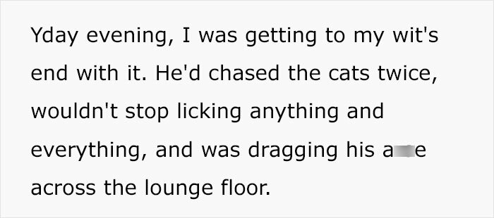 Woman&rsquo;s Mother Insists On Ludicrous Requirements For Untrained Dog, She Takes To The Web To Vent