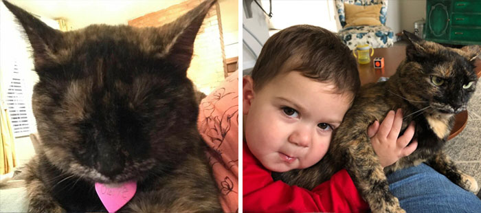 Best-Before-After-Having-Kids-Got-Toddlered