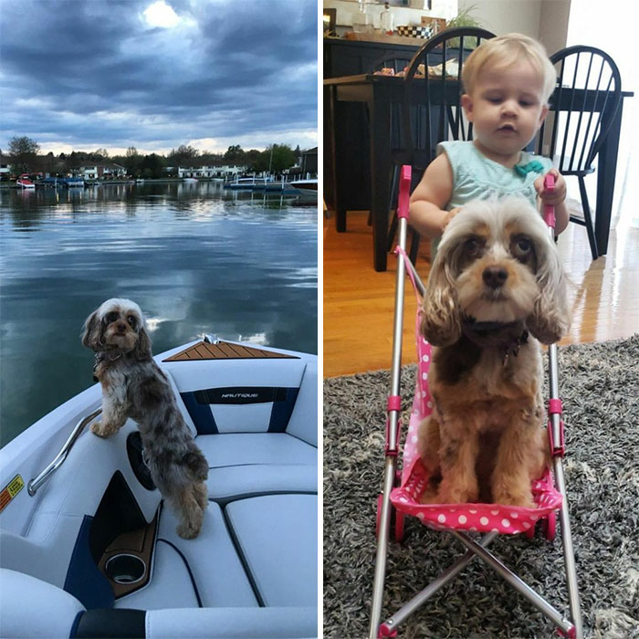 Best-Before-After-Having-Kids-Got-Toddlered