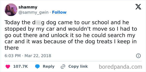 Follow @doggocom2 For Dog Memes Every Day. #dogs #dogsofinstagram #dog #dogstagram #puppy #doglover #dogoftheday #instadog #doglovers #doglife #pets #puppylove #puppies #pet #puppiesofinstagram #dogsofinsta #cute #instagram #of #petsofinstagram #dogslife #doggo #animals #dogmemes #doggomemes #doggos #doggo