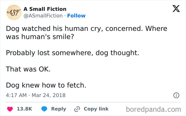 A relatable meme for dog owners showing a dog's thoughtful concern for its human.