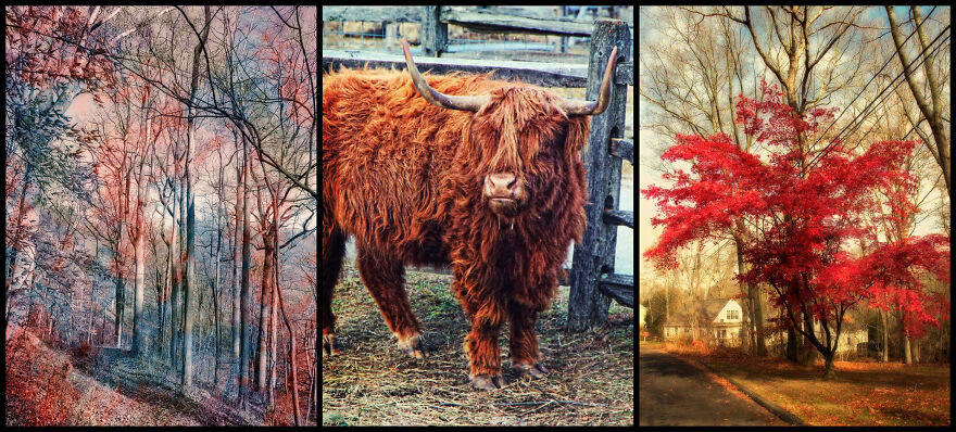 A Used Camera Ignites Amy Neufeld&rsquo;s Photography