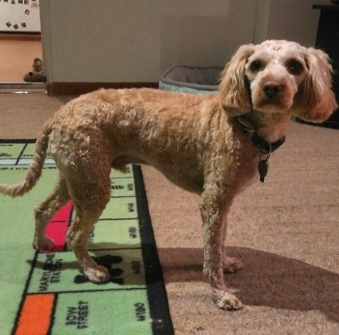 Ahh, This Isn't What We Asked For... Looks Like I'll Be Wearing Hoodies Non-Stop For The Next Few Weeks