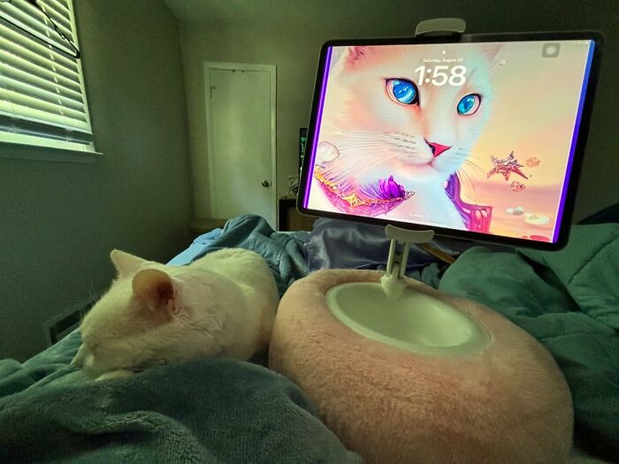 This Tablet Stand Pillow Is The Ultimate Netflix And Chill Companion. Just Don't Blame Us If You End Up Binge-Watching Your Favorite Show Until 3 Am