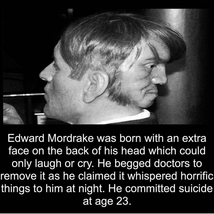 Horror-Stories-Facts-Horrorsfs