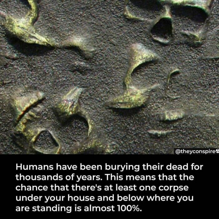 Horror-Stories-Facts-Horrorsfs