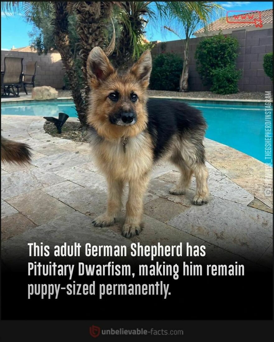 Unbelievable-Fascinating-Facts