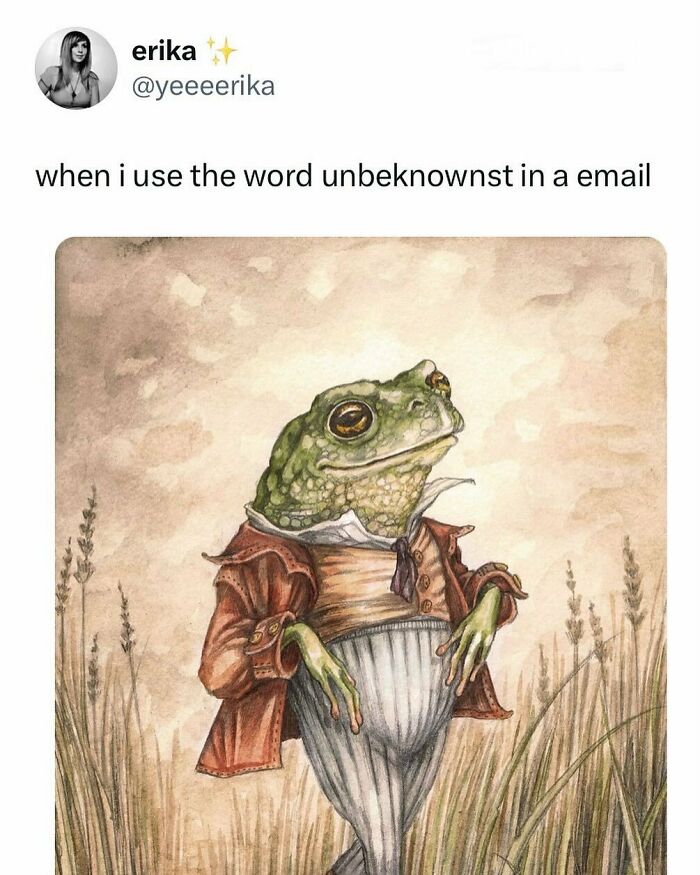 Tweet showing a humorous work break moment with a frog dressed in vintage clothing illustrating workplace truth.
