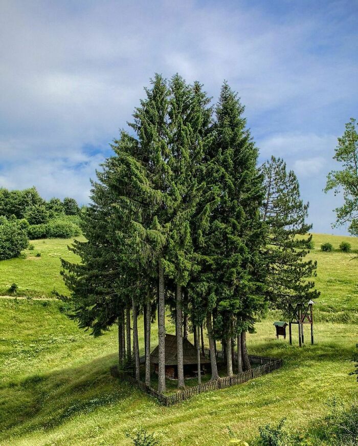 Architecture-Design-Pics