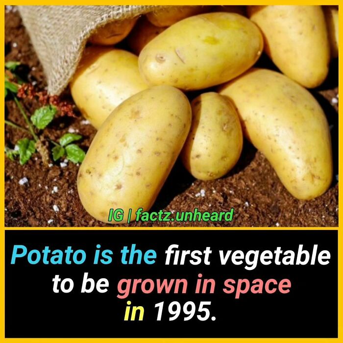 Interesting-Facts-Factzunheard