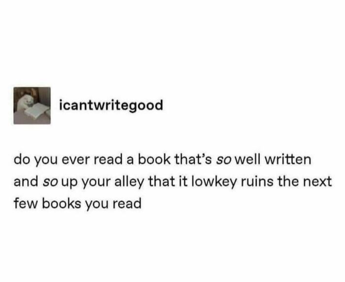 Text meme from funny literary memes IG page about how a well-written book can ruin the enjoyment of future reads for book nerds.