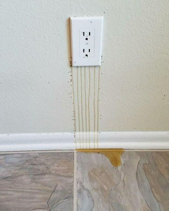 50 Cringeworthy Design Fails That Are So Bad, They're Funny