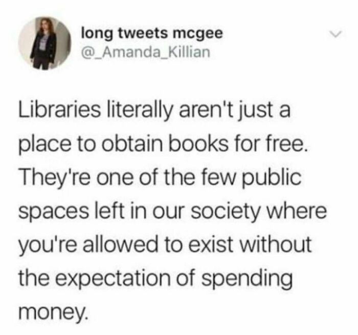 Screenshot of a funny literary meme about libraries as free public spaces, shared on a book nerd Instagram page.