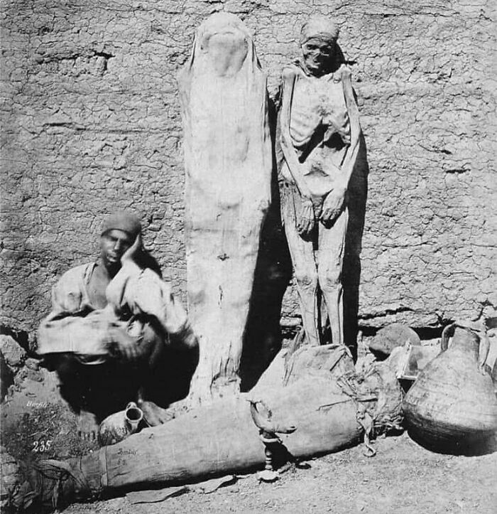 Egyptian Street Vendor Selling Mummies In 1865