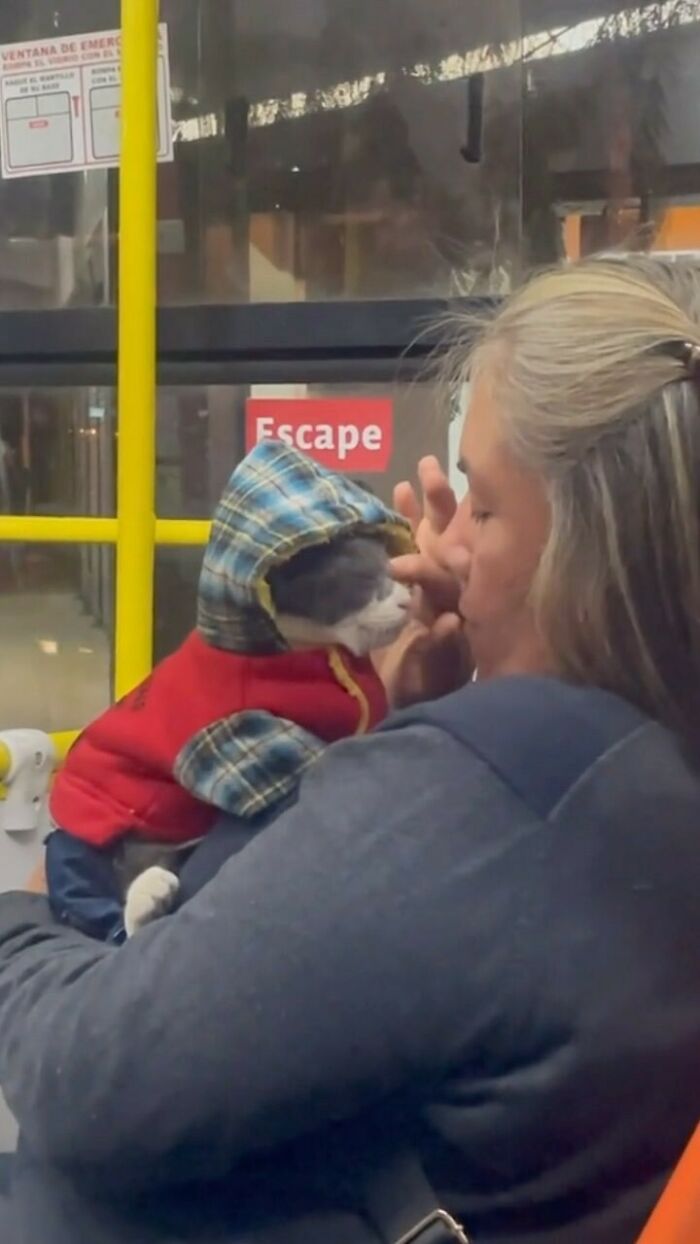 Woman holding a cat dressed in a hoodie sharing a loving moment on a bus in delightfully random photos to brighten your day